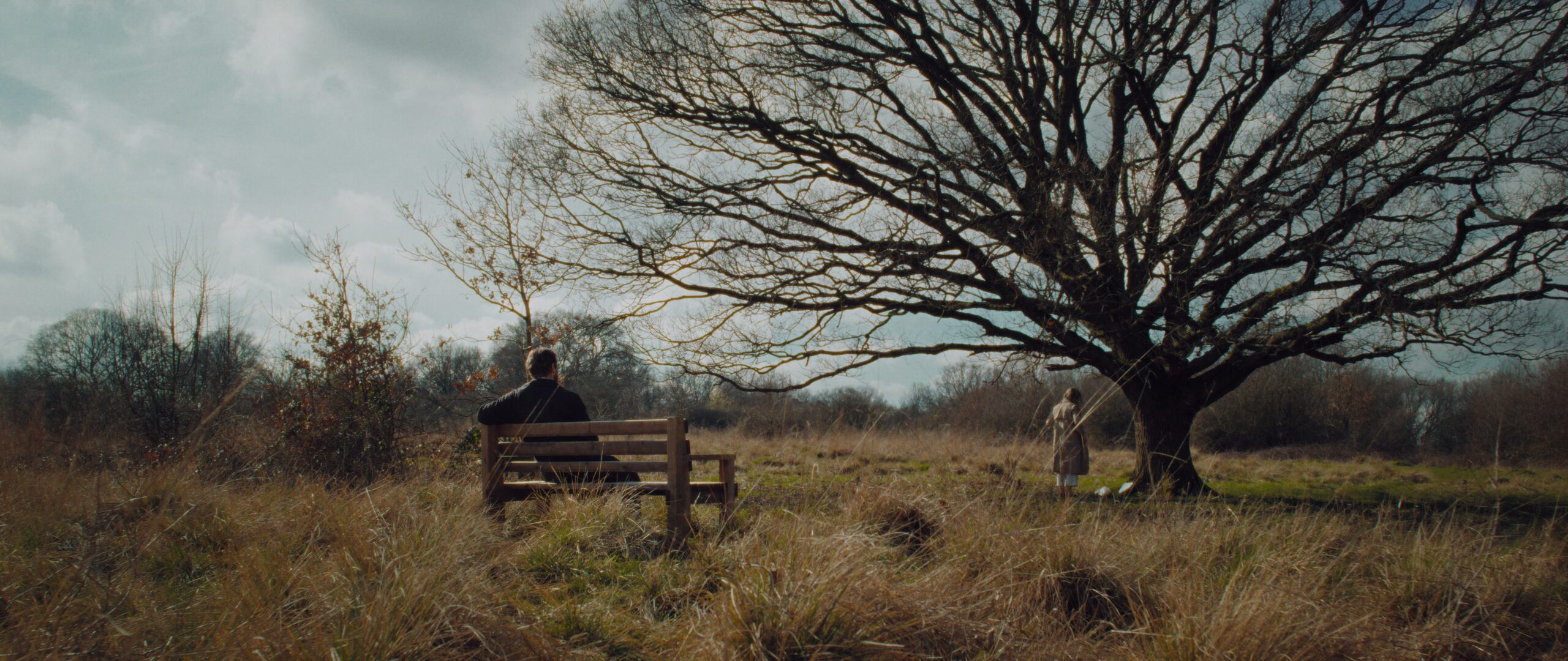 Still 2025-07-24 165407_1.1.13