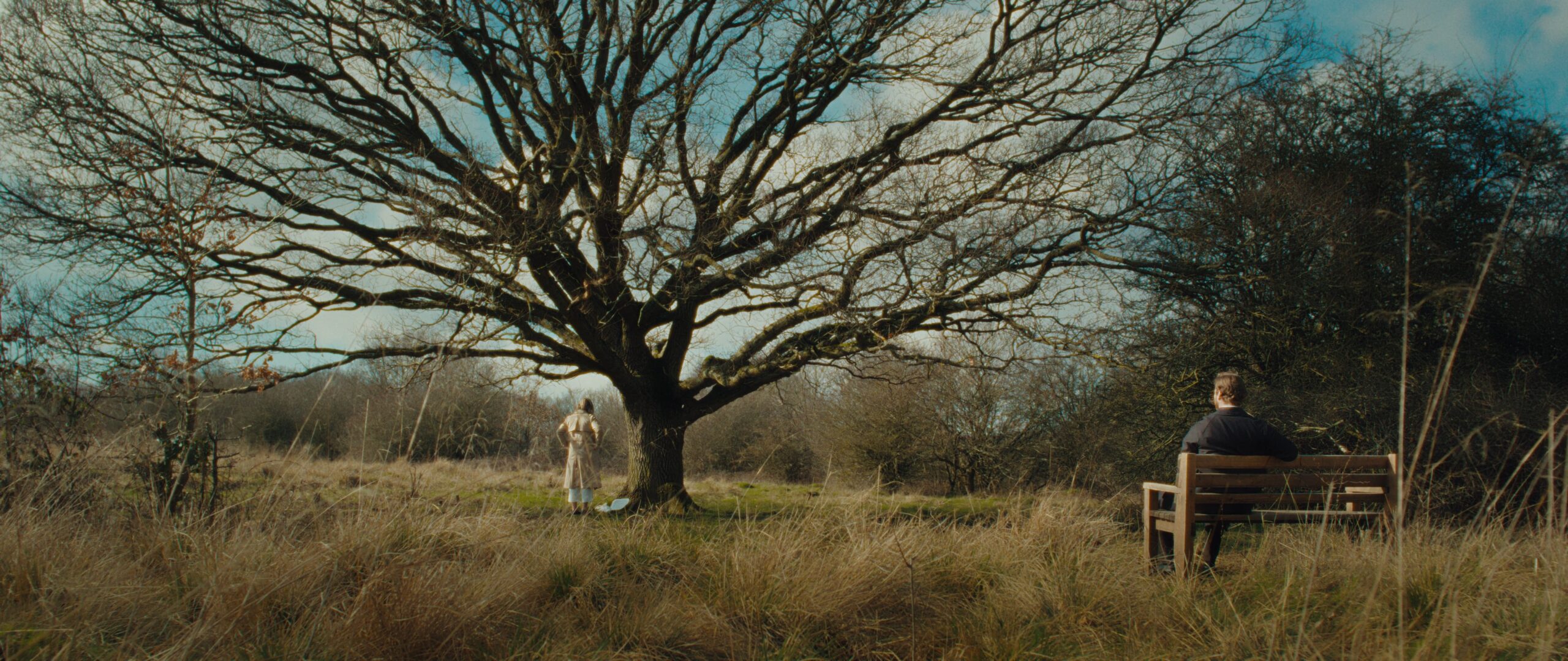 Still 2025-07-24 165407_1.1.3