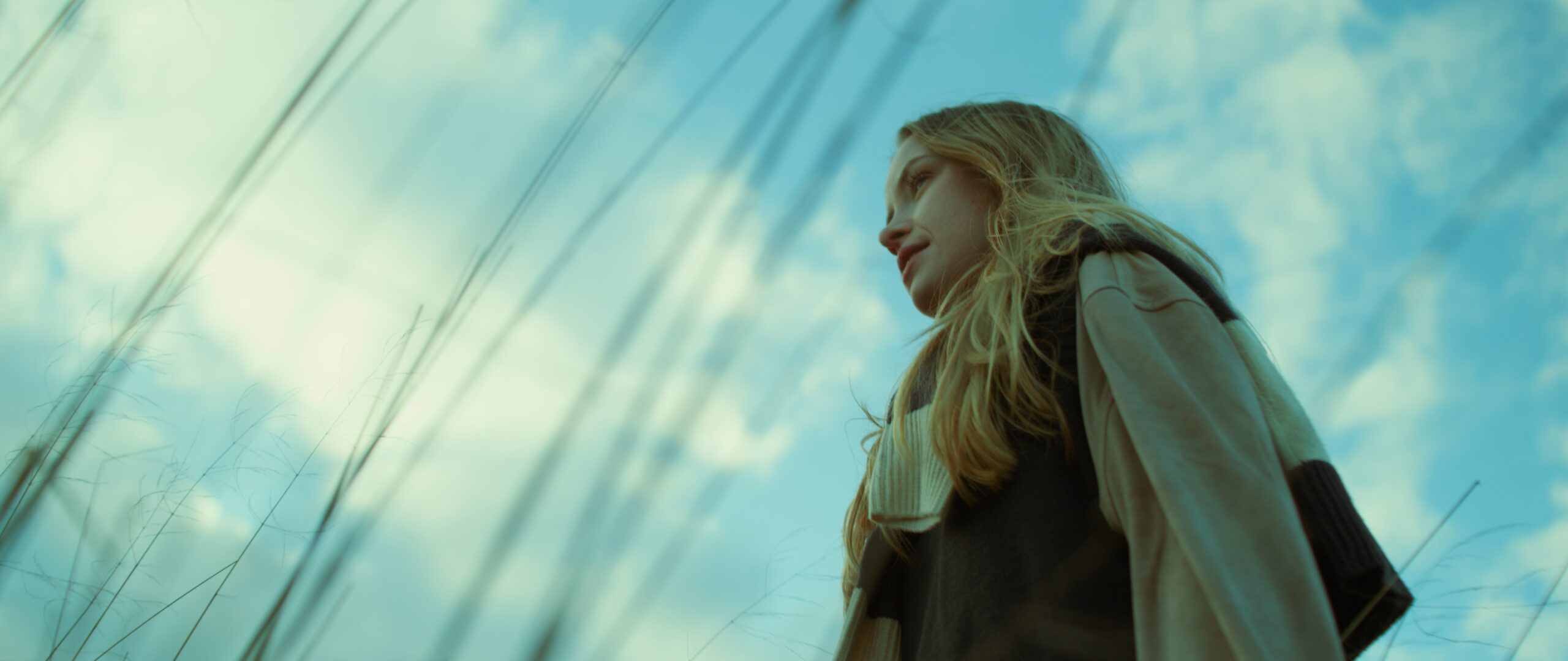 Still 2025-07-24 191226_1.19.1